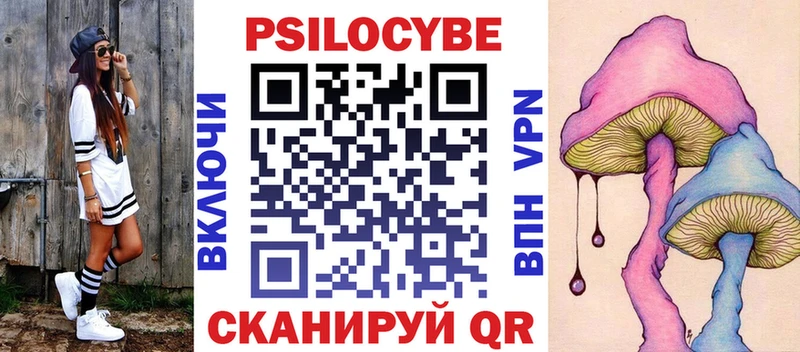 Галлюциногенные грибы Psilocybe  цены наркотик  Чебоксары 