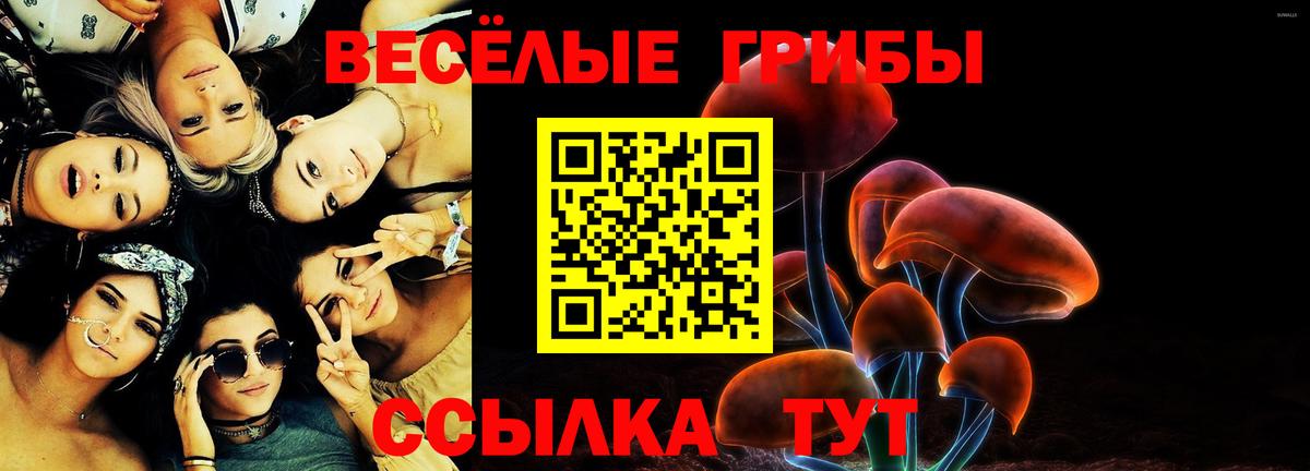 Псилоцибиновые грибы Psilocybine cubensis  Вход с VPN  Галлюциногенные грибы ЛСД  Чебоксары 