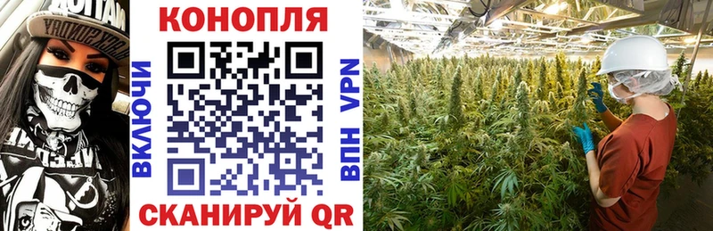 Конопля семена  купить  сайты  ОМГ ОМГ сайт  Чебоксары 